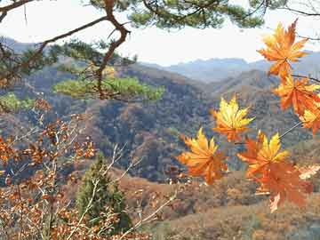 卖打胎药联系方式，璋利国际完成配售359万股 净筹约415万港元