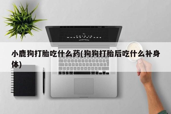 卖打胎药联系方式，小鹿狗打胎吃什么药(狗狗打胎后吃什么补身体)
