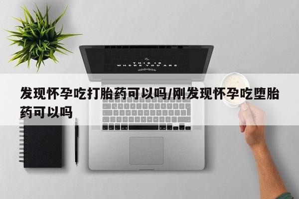 卖打胎药联系方式，发现怀孕吃打胎药可以吗/刚发现怀孕吃堕胎药可以吗